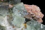 Blue-Green, Cubic Fluorite Crystal Cluster - Morocco #99008-2